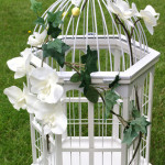 cage oiseaux decoree