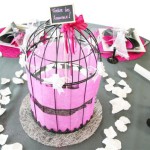 cage oiseaux decoree