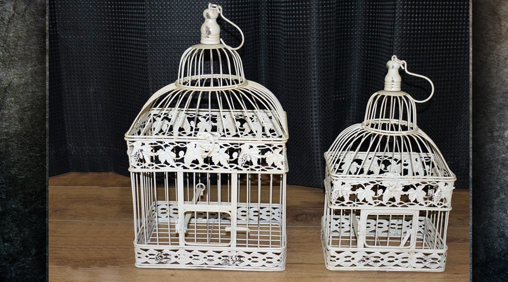 cage oiseau decoration