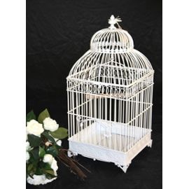 cage oiseau decoration
