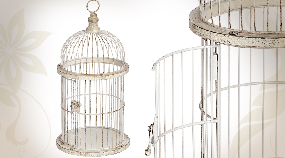 cage oiseau decoration