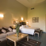 decoration de chambre et salon