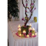 decoration de table a faire soi meme anniversaire