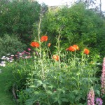 week end sympa a 1h de paris