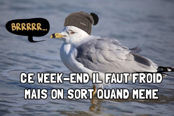 week end sympa en janvier