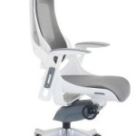 chaises bureaux ergonomiques