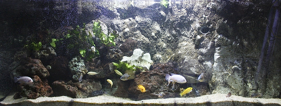 comment fabriquer decor aquarium