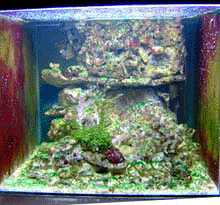 comment fabriquer decor aquarium