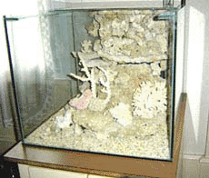 comment fabriquer decor aquarium