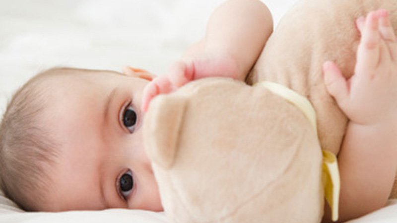 comment faire quand doudou perdu