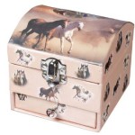 boite a bijoux cheval