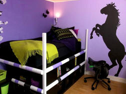decoration chambre theme cheval