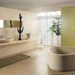 decoration de chambre de bain