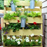 faire decoration avec recuperation