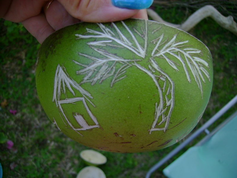 faire decoration sur calebasse