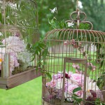 idee deco cage oiseaux