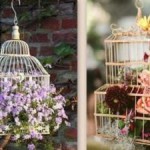 idee deco cage oiseaux