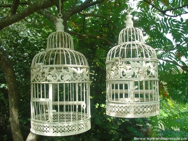 idee deco cage oiseaux