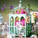 idee deco cage oiseaux
