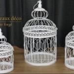 petite cage oiseaux decorative