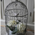 petite cage oiseaux decorative