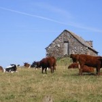 week end sympa en auvergne