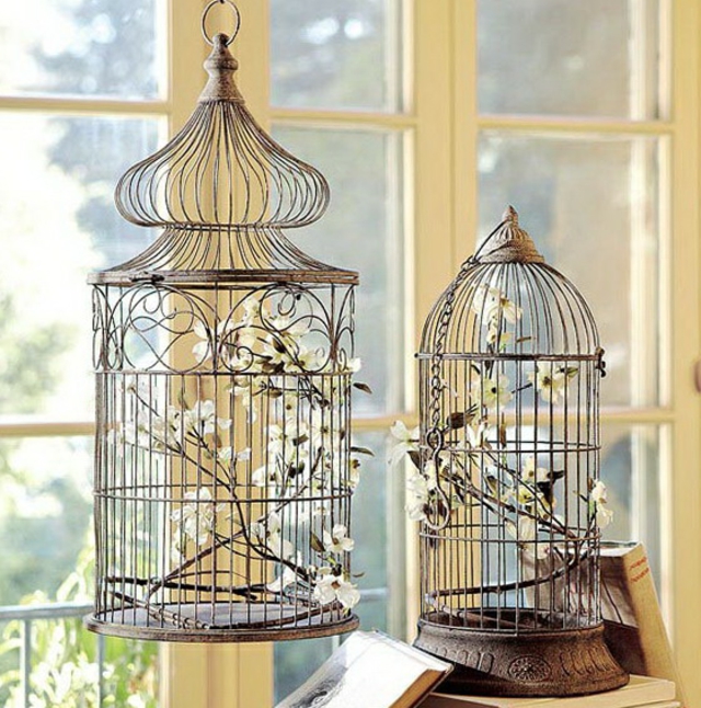 cage oiseaux pour deco