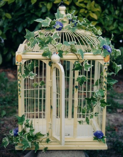 cage oiseaux pour deco