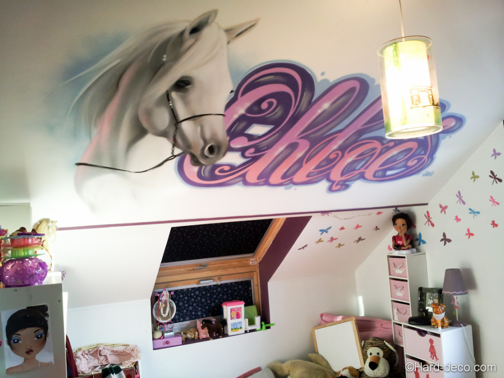 deco chambre fille avec chevaux