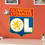 deco chambre olympique lyonnais