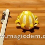 faire decoration avec citron