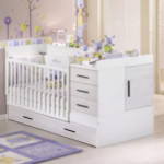 lit junior sauthon zen erable