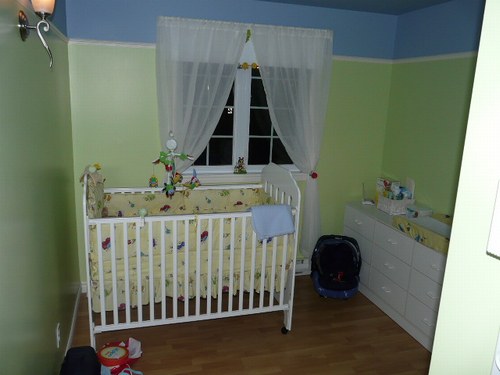 decoration chambre bebe grenouille