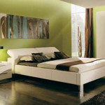 decoration pour chambre a coucher adulte