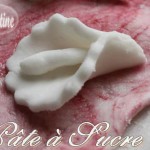 fabriquer deco pate a sucre