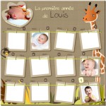 cadre chambre bebe jungle