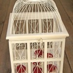 cage oiseau deco occasion