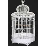 cage oiseau deco occasion