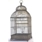 cage oiseau deco occasion