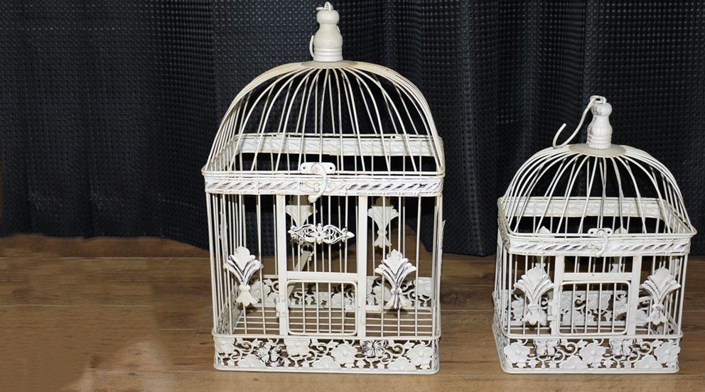 cage oiseau decorative interieur