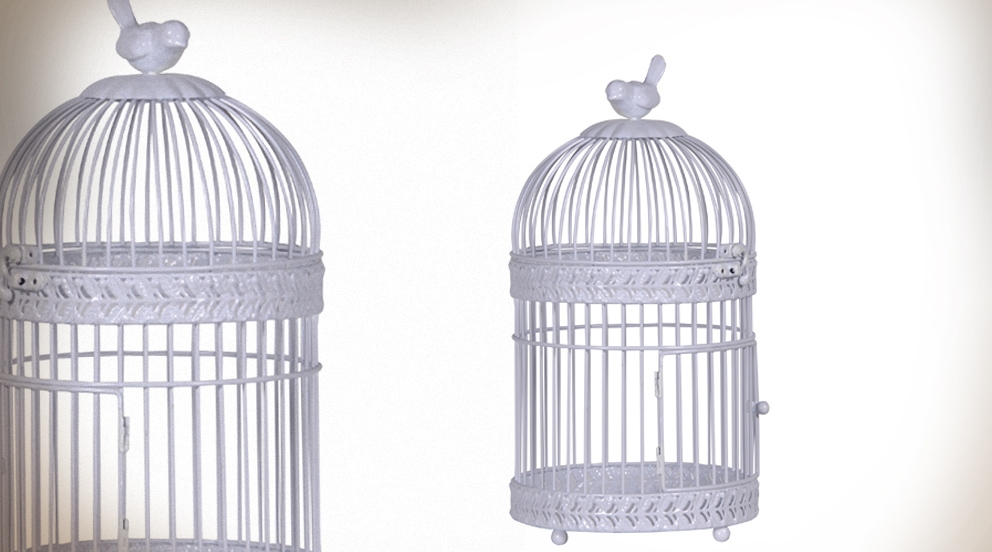 cage oiseau decorative interieur