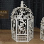 cage oiseau decorative interieur