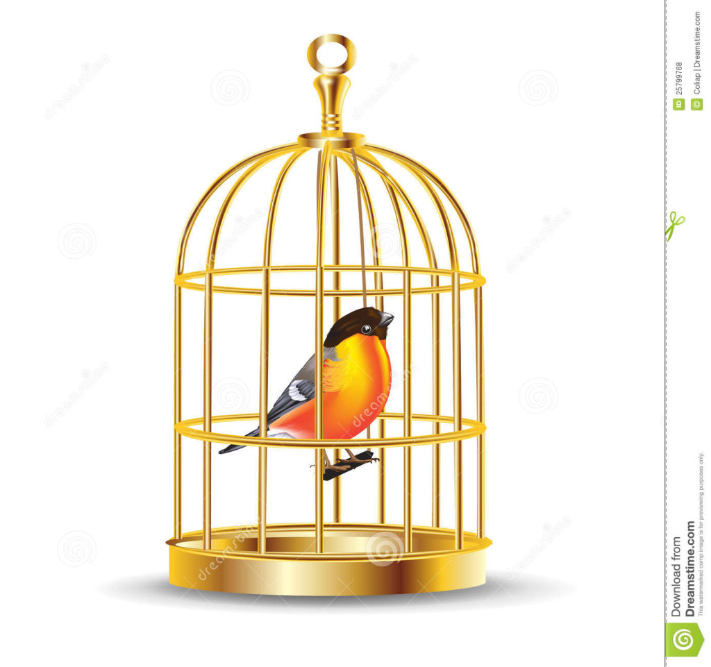 cage oiseau decorative interieur