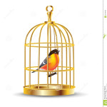 cage oiseau decorative interieur