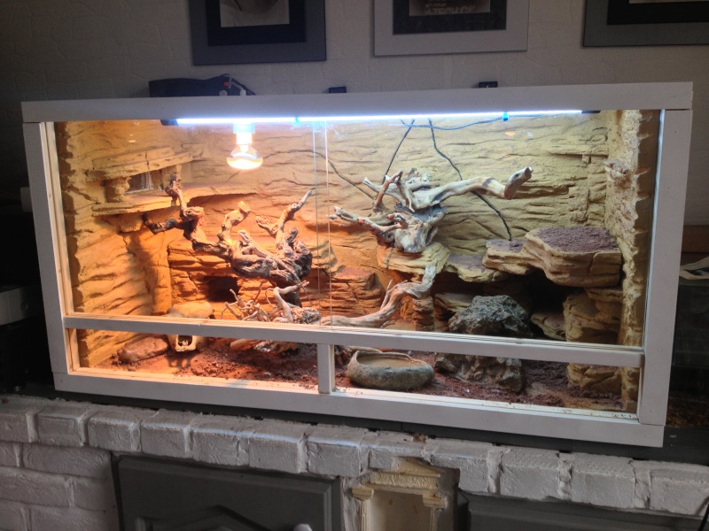 fabriquer un decor pour terrarium