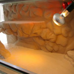 fabriquer un decor pour terrarium