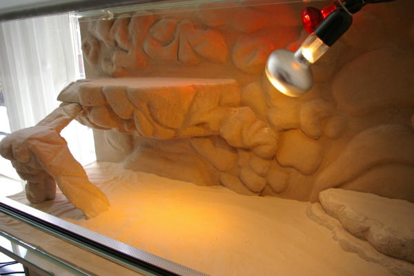 fabriquer un decor pour terrarium