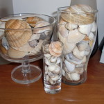 faire decoration avec coquillages