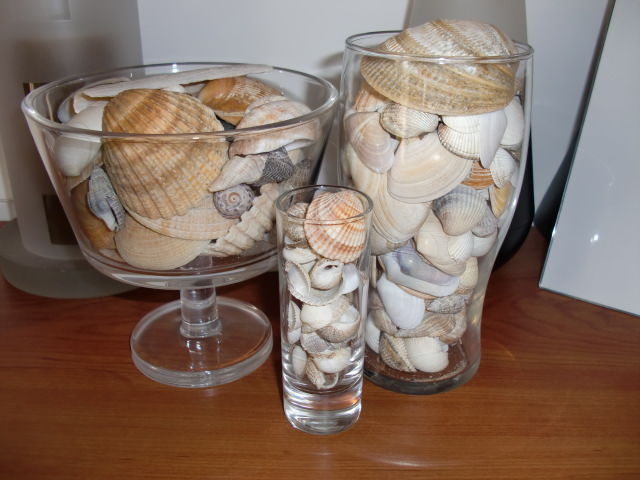 faire decoration avec coquillages