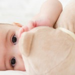 faire refaire son doudou